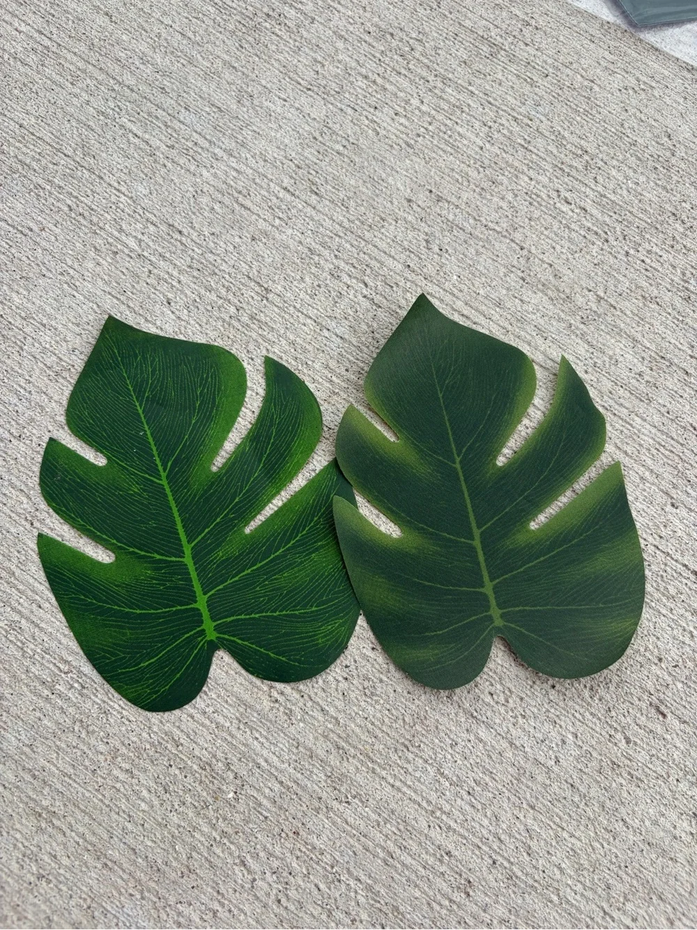 15 Small Tropical Monstera Leaf table mats